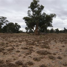 Crossing a pretty large creek bed, with evidence of recent water flow.