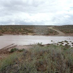 Willochra Creek, about a metre deep