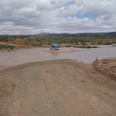 The LC crossing Willochra Creek