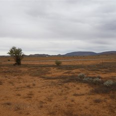 As dry as it is, it still has some magic.