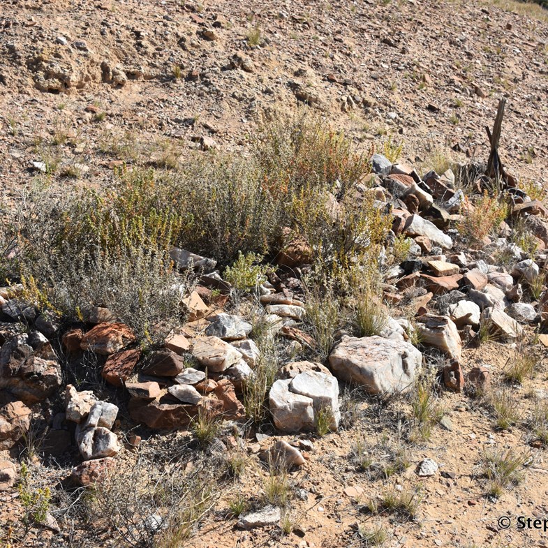 The Cemetery is located east of the ruins