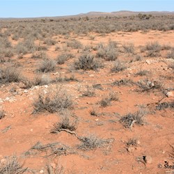 Waukaringa general cemetery 