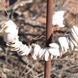 Waukaringa general cemetery 