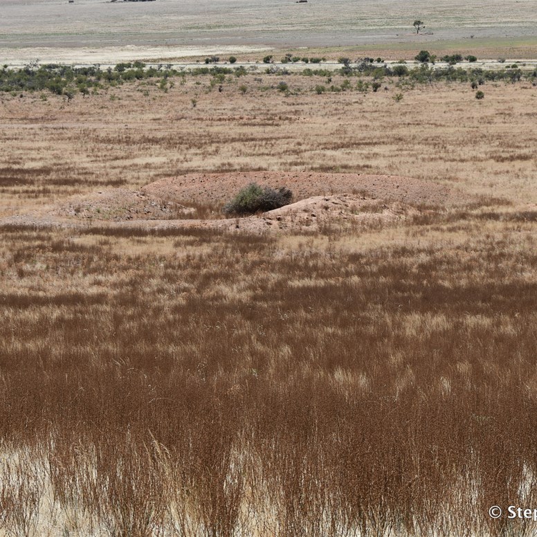Looking east and down on one of the bunker complexes 