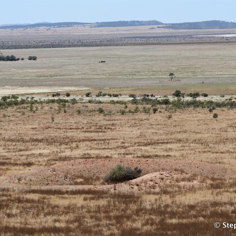 Looking east and down on one of the bunker complexes 