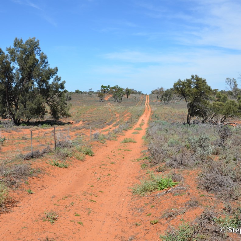 Further south the border track on the South Australian side