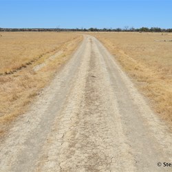 Section of the drive through the floodplains 