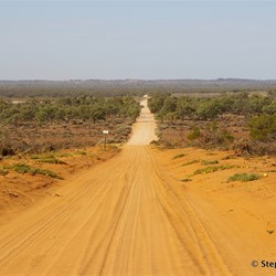 Heading south from the main Wentworth Road down to the Chowilla Game reserve