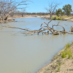These creeks are very popular for kayakers....they are just so perfect and peaceful