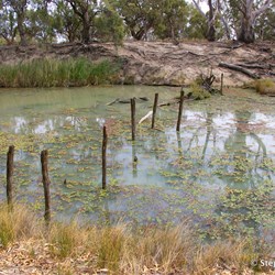 Remains of an old stock bridge that crosses one of the creeks