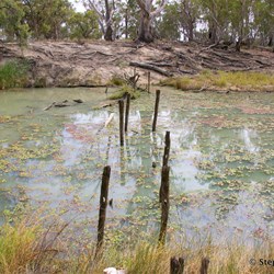 Remains of an old stock bridge that crosses one of the creeks