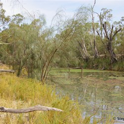 Remains of an old stock bridge that crosses one of the creeks