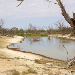 Death along one of the creeks
