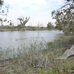 Monoman Creek in flood