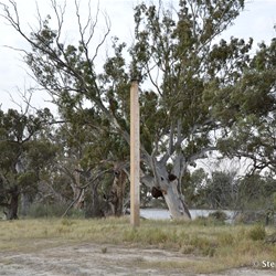 From the work for the proposed Chowilla Dam in the 1960's