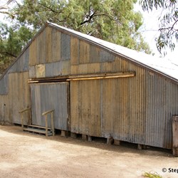 The old Chowilla Shearing shed was built in the 1800's