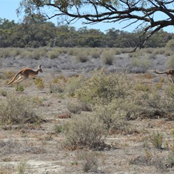 You never know what you will encounter along the drive