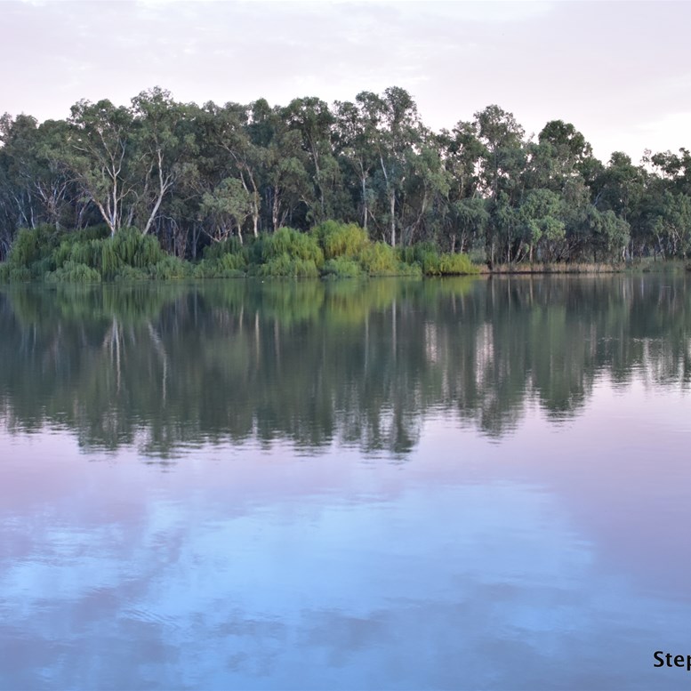 There is something very special about the tranquility of the Murray