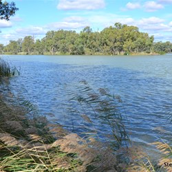 The Confluence of the Darling on the left and the Murray River on the right