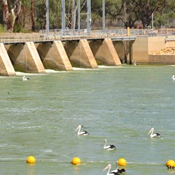 Murray River Weir in normal conditions