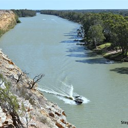 The Murray on its final legs heading south near Big Bend below Lock 1