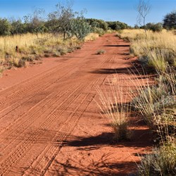 Track off the Tanami leading to an old road maintenance camp - a perfect place to camp away from the main road