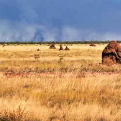 You will see lots of Traditional Burn Offs