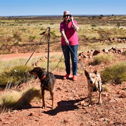Elevated area off of the main track
