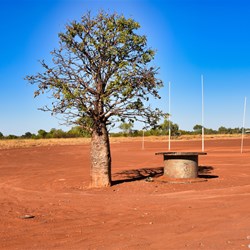 Billiluna Footy oval with a solitary Boab tree