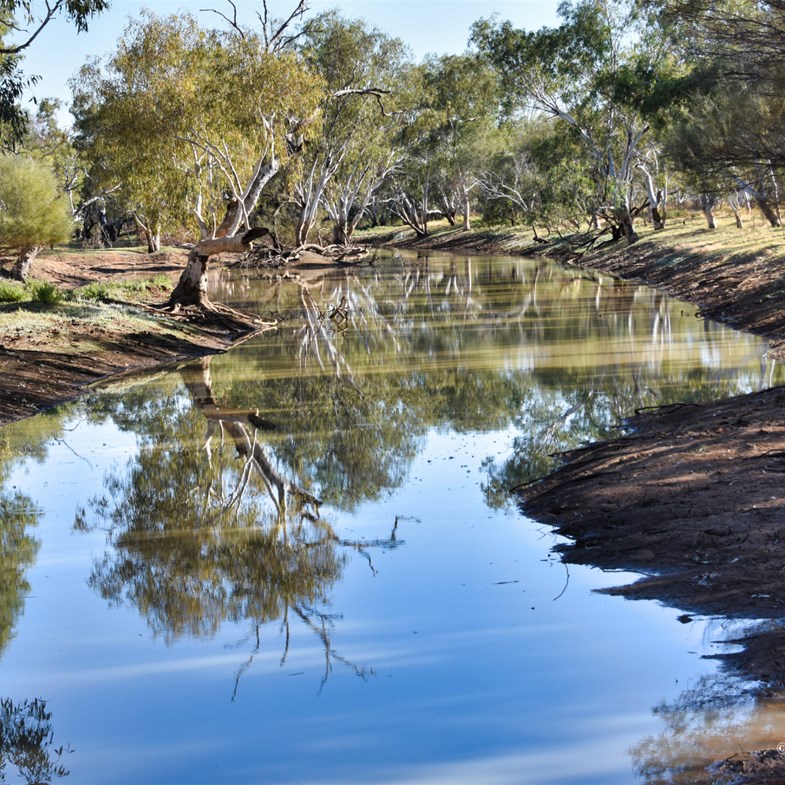 Sturt Creek with its magnificent gums make a perfect spot to camp