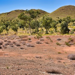the flat terrain has now given way to hilly country the closer you get towards Halles Creek
