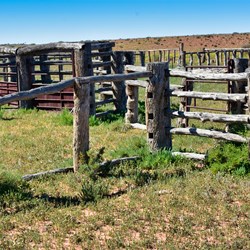 The heritage listed Eringa Stockyards