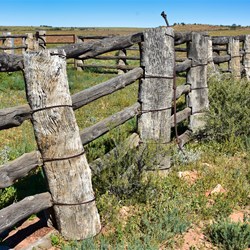 The heritage listed Eringa Stockyards