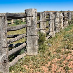 The heritage listed Eringa Stockyards