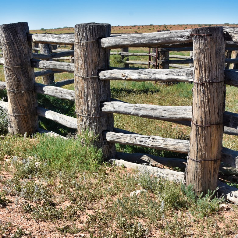 The heritage listed Eringa Stockyards