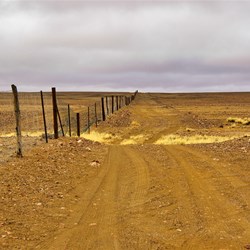 The Breakaways and the world famous Dog Fence