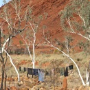 Australias most outback clothes line?