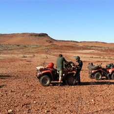 Collecting wood along the way