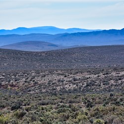 Views that you never expect to see on Horseshoe Top End
