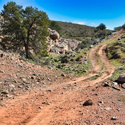 Four Wheel Drive Tracks on Horseshoe Top End
