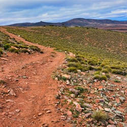 Four Wheel Drive Tracks on Horseshoe Top End