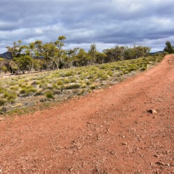 Four Wheel Drive Tracks on Horseshoe Top End