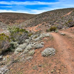 Four Wheel Drive Tracks on Horseshoe Top End