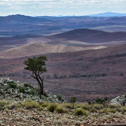 Horseshoe Top End Views