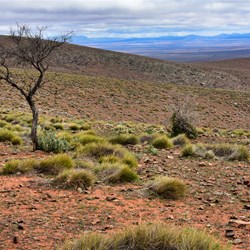 Horseshoe Top End Views