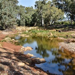 Kanyaka Waterhole