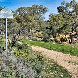 The track coming in from Kanyaka Ruins
