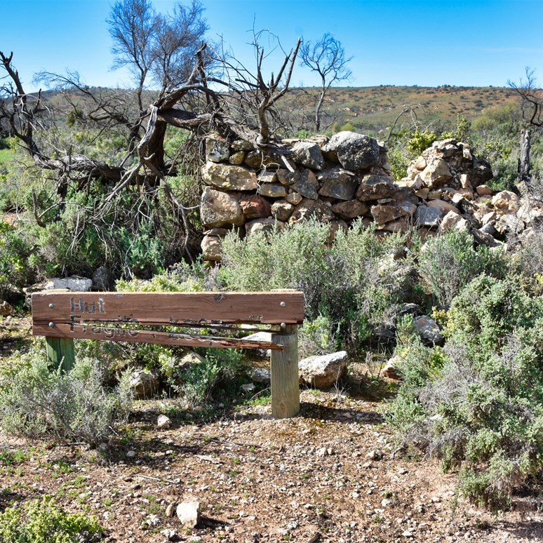 Old ruins at the site