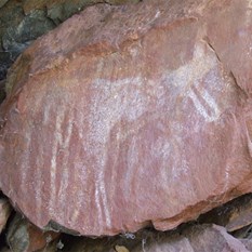 Kangaroo rockpainting at Kangaroo Pool, DQB