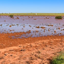 Floodwaters line the Stuart Highway at Glendambo.